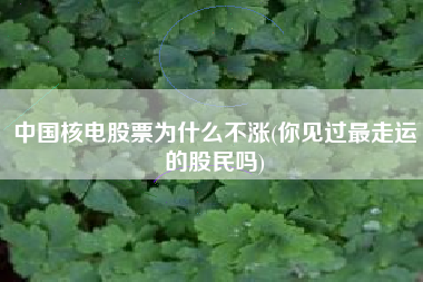 中国核电股票为什么不涨(你见过最走运的股民吗)
