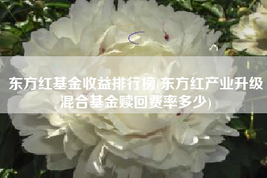东方红基金收益排行榜(东方红产业升级混合基金赎回费率多少)