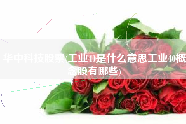 华中科技股票(工业40是什么意思工业40概念股有哪些)