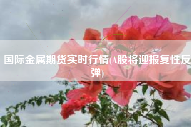国际金属期货实时行情(A股将迎报复性反弹)