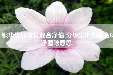 银华优质增长混合净值(分级乐中的基金B净值啥意思)