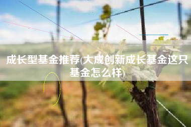 成长型基金推荐(大成创新成长基金这只基金怎么样)