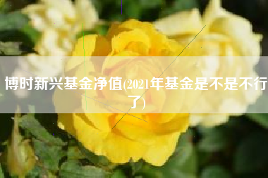 博时新兴基金净值(2021年基金是不是不行了)