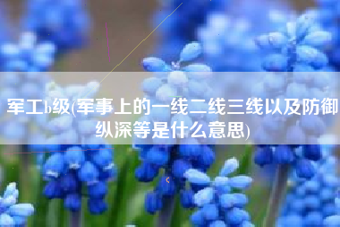 军工b级(军事上的一线二线三线以及防御纵深等是什么意思)