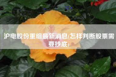 沪电股份重组最新消息(怎样判断股票需要抄底)