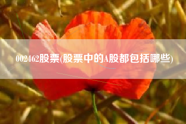 002462股票(股票中的A股都包括哪些)