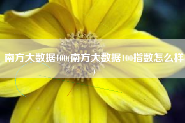 南方大数据100(南方大数据100指数怎么样)