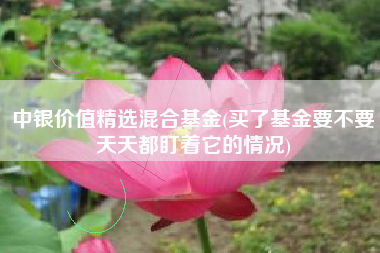 中银价值精选混合基金(买了基金要不要天天都盯着它的情况)
