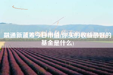 融通新蓝筹今日市值(你买的收益最好的基金是什么)