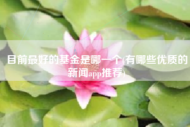 目前最好的基金是哪一个(有哪些优质的新闻app推荐)
