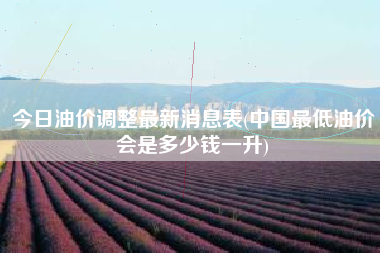 今日油价调整最新消息表(中国最低油价会是多少钱一升)