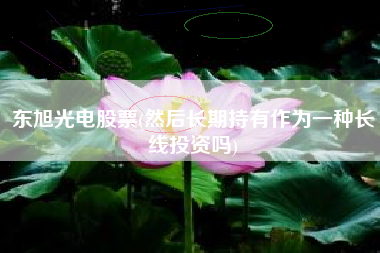 东旭光电股票(然后长期持有作为一种长线投资吗)