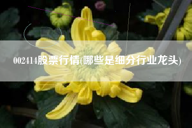 002414股票行情(哪些是细分行业龙头)