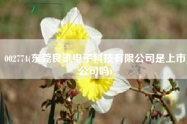 002774(东莞良讯电子科技有限公司是上市公司吗)