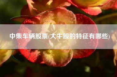中集车辆股票(大牛股的特征有哪些)