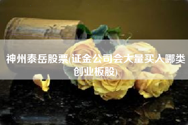 神州泰岳股票(证金公司会大量买入哪类创业板股)