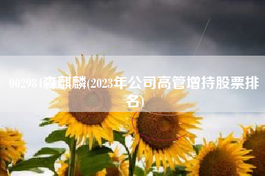 002984森麒麟(2023年公司高管增持股票排名)