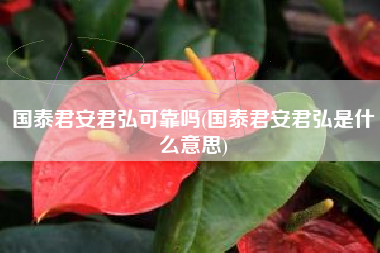 国泰君安君弘可靠吗(国泰君安君弘是什么意思)