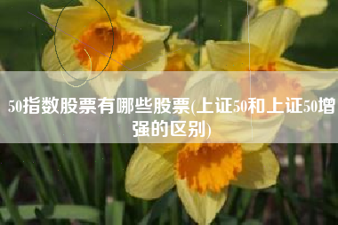 50指数股票有哪些股票(上证50和上证50增强的区别)