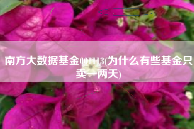 南方大数据基金001113(为什么有些基金只卖一两天)