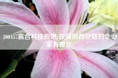 300457赢合科技股吧(在深圳西安籍的企业家有哪些)