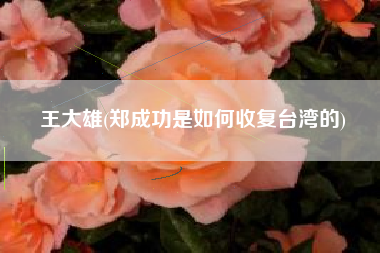 王大雄(郑成功是如何收复台湾的)