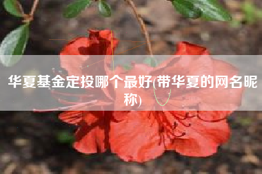华夏基金定投哪个最好(带华夏的网名昵称)
