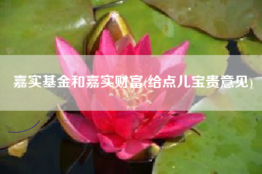 嘉实基金和嘉实财富(给点儿宝贵意见)