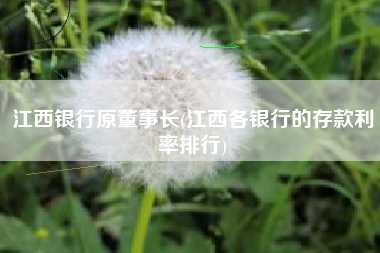 江西银行原董事长(江西各银行的存款利率排行)