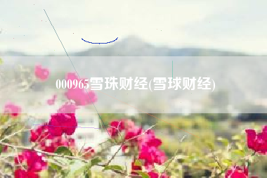 000965雪珠财经(雪球财经)