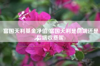 富国天利基金净值(富国天利是前端还是后端收费呢)