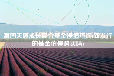 富国天惠成长混合基金净值查询(新发行的基金值得购买吗)
