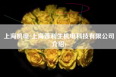 上海机电(上海普利生机电科技有限公司介绍)