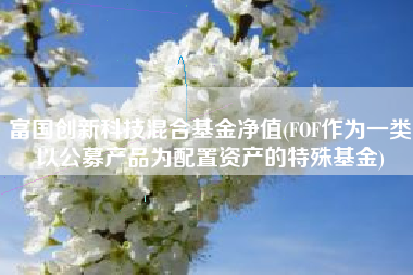富国创新科技混合基金净值(FOF作为一类以公募产品为配置资产的特殊基金)
