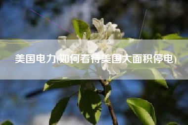 美国电力(如何看待美国大面积停电)