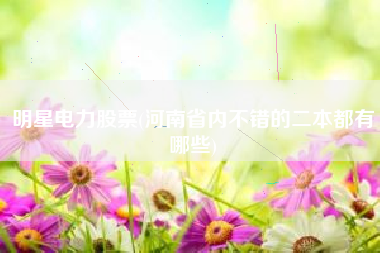 明星电力股票(河南省内不错的二本都有哪些)