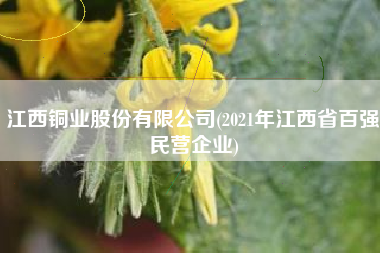 江西铜业股份有限公司(2021年江西省百强民营企业)