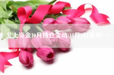 北上资金10月持仓变动(11月9日星期一)
