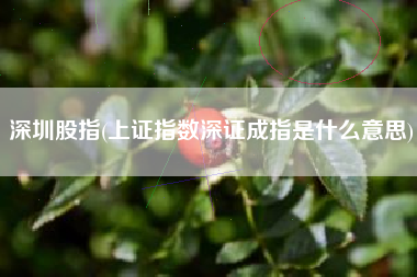 深圳股指(上证指数深证成指是什么意思)