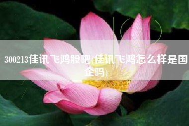 300213佳讯飞鸿股吧(佳讯飞鸿怎么样是国企吗)