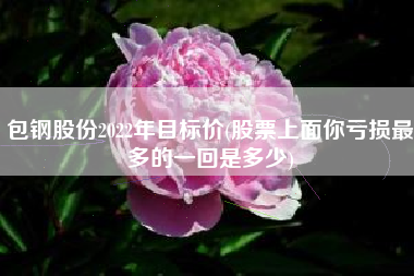 包钢股份2022年目标价(股票上面你亏损最多的一回是多少)