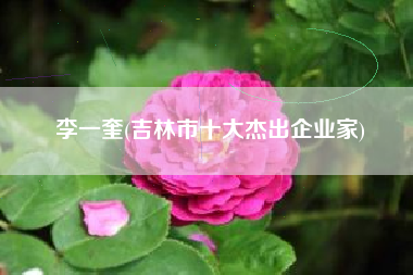 李一奎(吉林市十大杰出企业家)