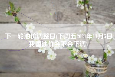 下一轮油价调整日(下周五2021年11月5日我国油价会不会下调)