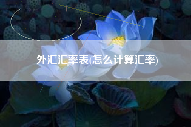 外汇汇率表(怎么计算汇率)
