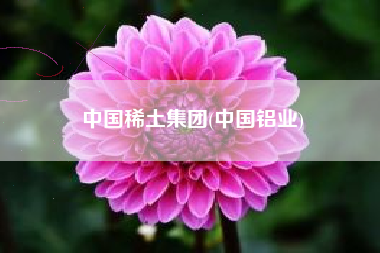 中国稀土集团(中国铝业)