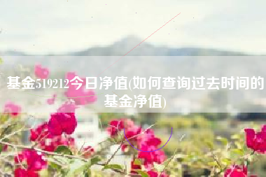 基金519212今日净值(如何查询过去时间的基金净值)