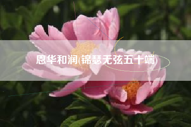 恩华和润(锦瑟无弦五十端)