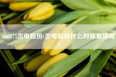 000875吉电股份(吉电股份什么时候复牌呢)