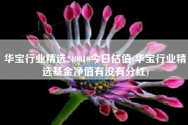 华宝行业精选240010今日估值(华宝行业精选基金净值有没有分红)