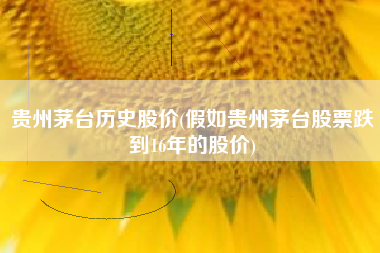 贵州茅台历史股价(假如贵州茅台股票跌到16年的股价)